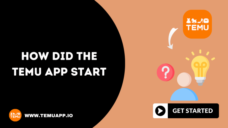 How Did TEMU App Start – A Detailed History Overview