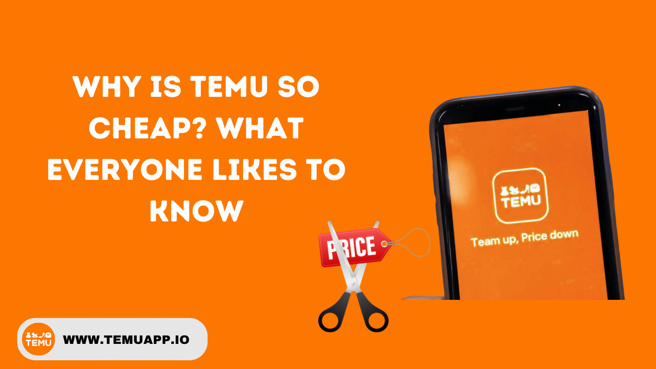 Why is Temu So Cheap? What Everyone likes to know