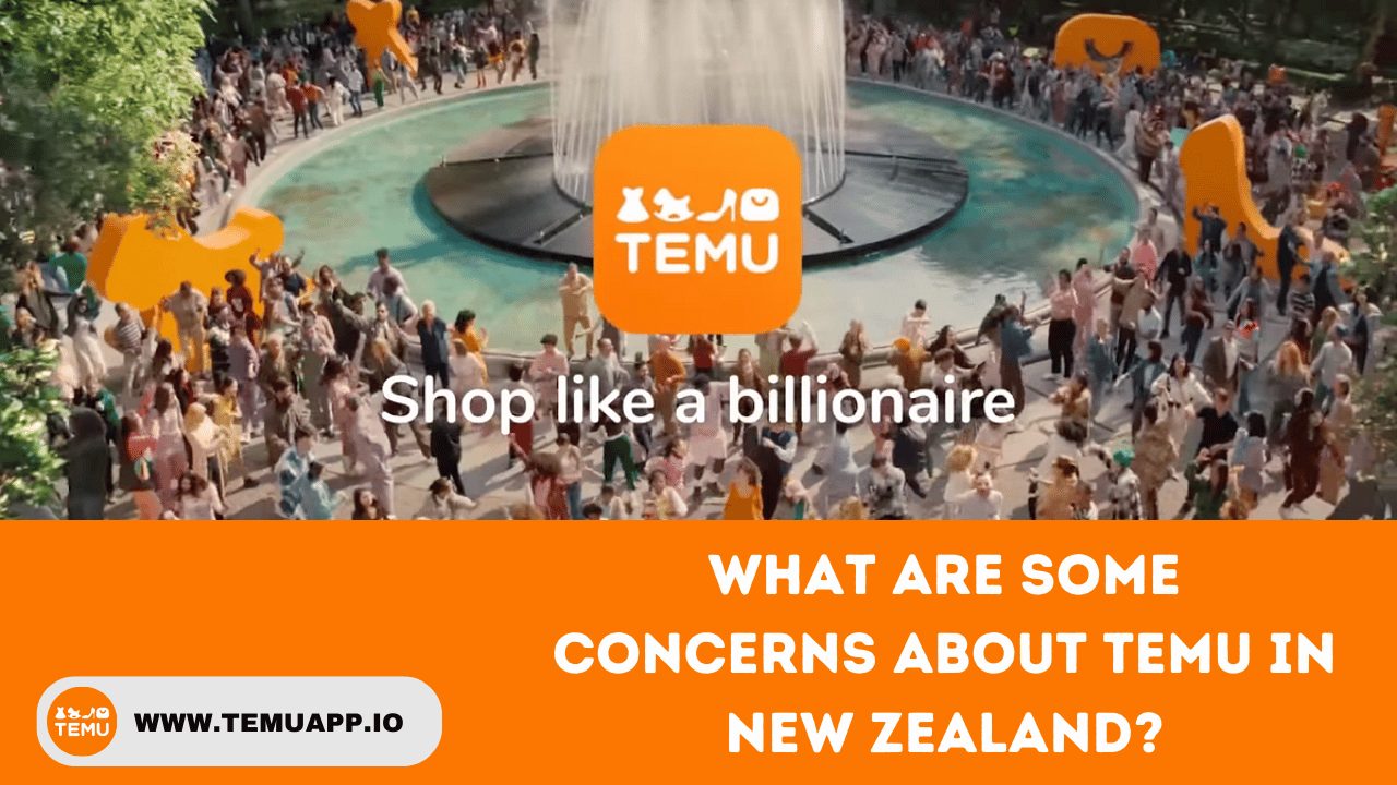 What are some concerns About Temu in New Zealand?