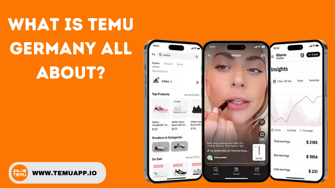 What is Temu Germany all About?