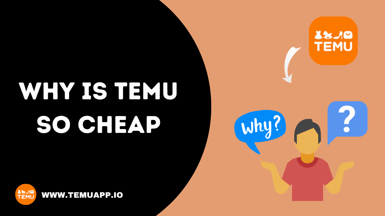 Why Is Temu So Cheap