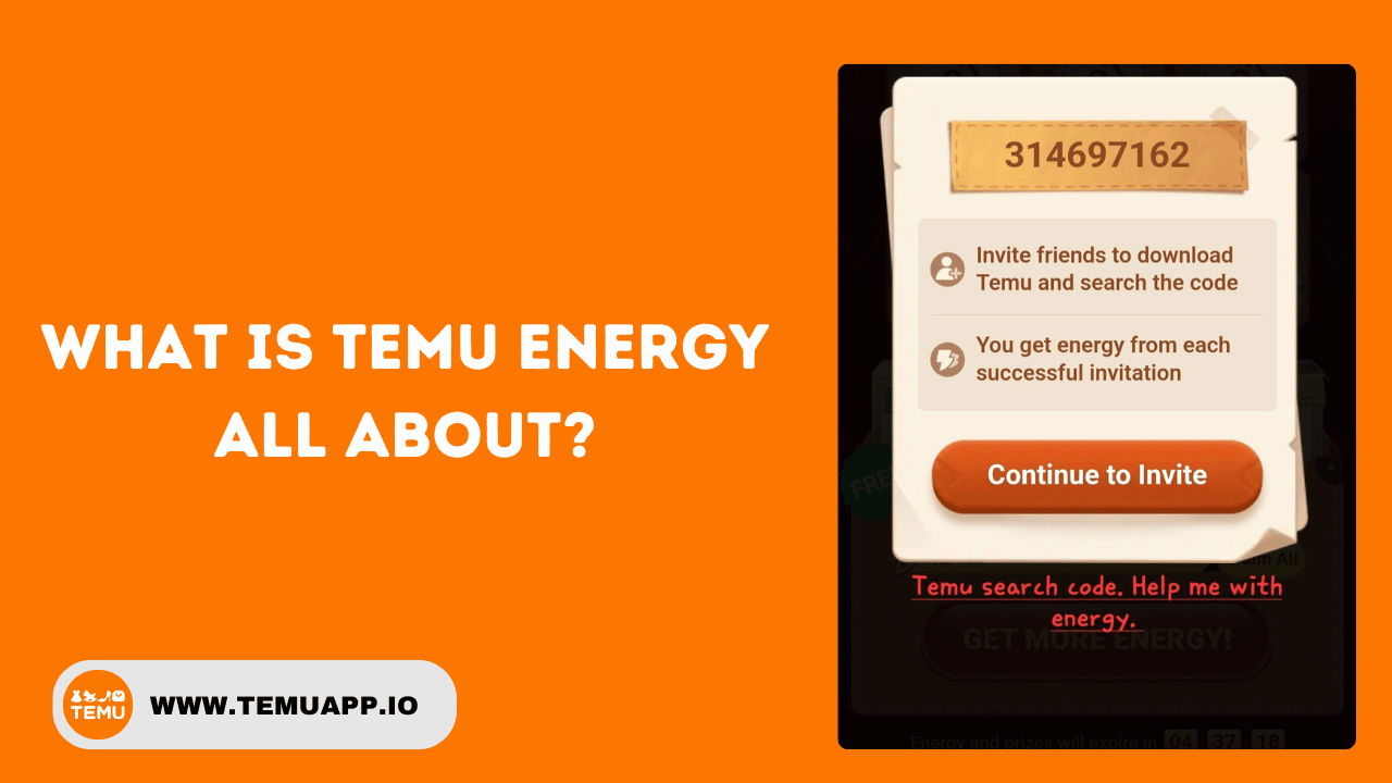 What is Temu Energy All About?