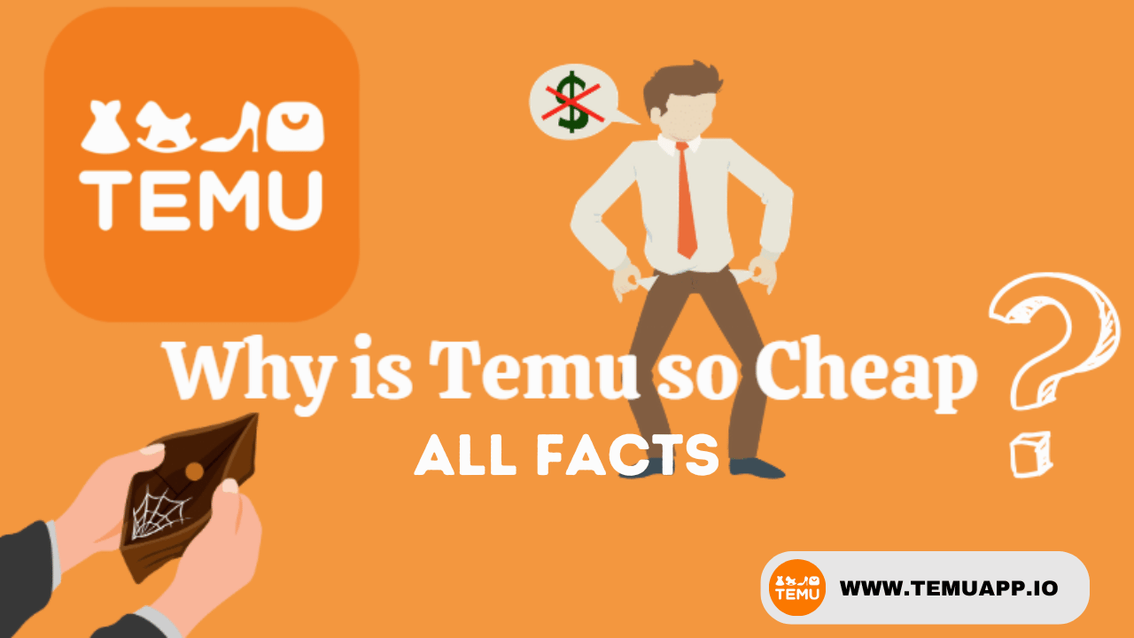 Why Is Temu So Cheap? - All Facts