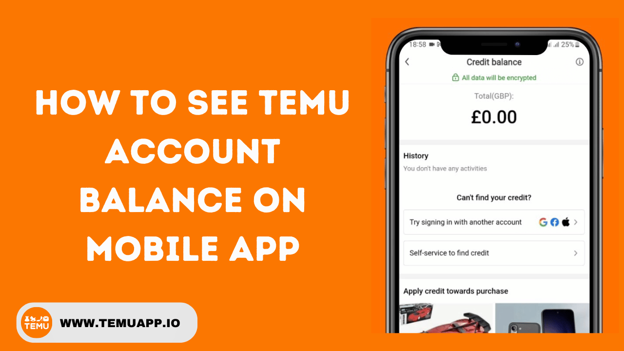 How To See Temu Account Balance On Mobile App