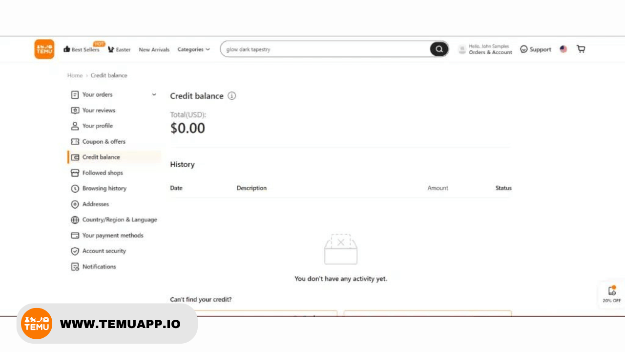 How to See Temu Balance From the Website?