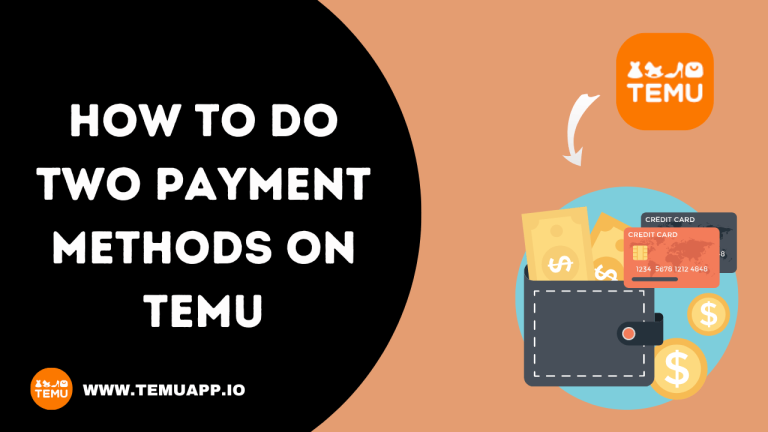 How To do Two Payment Methods on Temu – Guide 2024