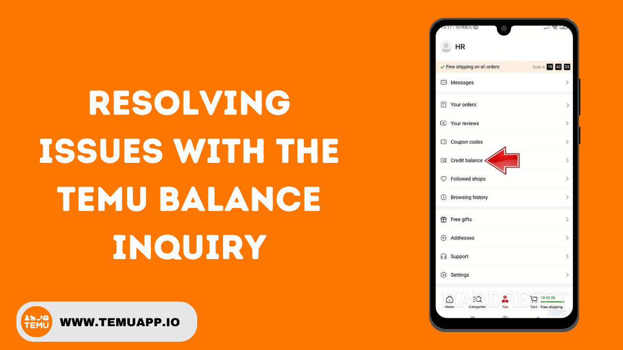 Resolving issues with the Temu Balance inquiry