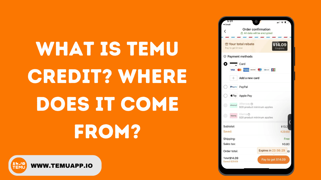 What is Temu credit? Where does it come from?