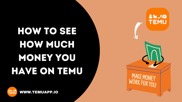 How To See How Much Money You Have on Temu (2024)