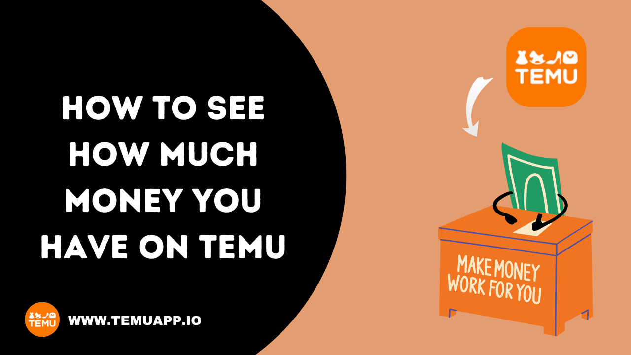 how to see how much money you have on temu 2024