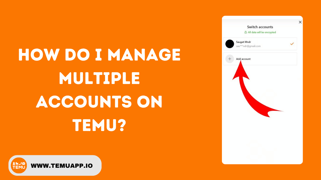 How Do I Manage Multiple Accounts On Temu?