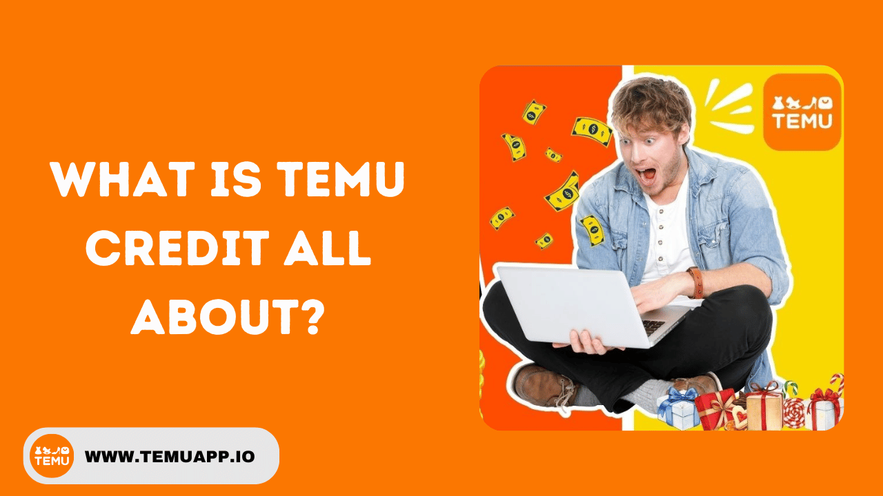 What is Temu Credit All About?