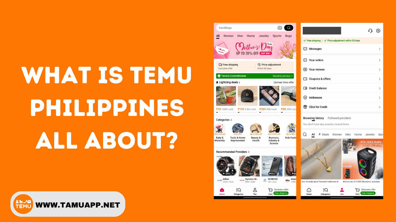 What is Temu Philippines All About?