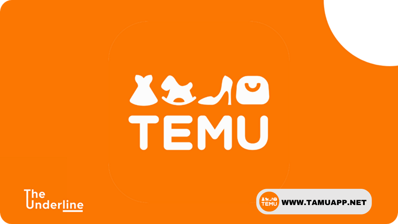 A Brief Overview Of What Is Temu?