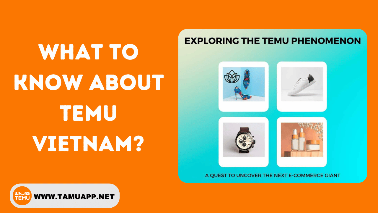 What to Know About Temu Vietnam?